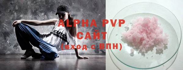 винт Абаза