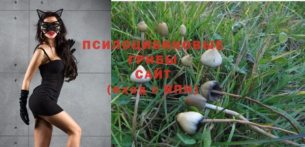 мескалин Абинск