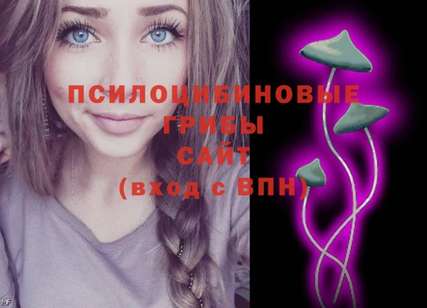 СК Абдулино